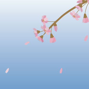 桜